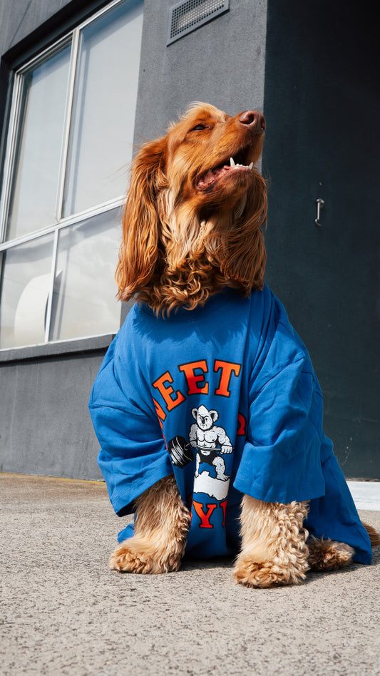 GYM TSHIRT ROYAL BLUE